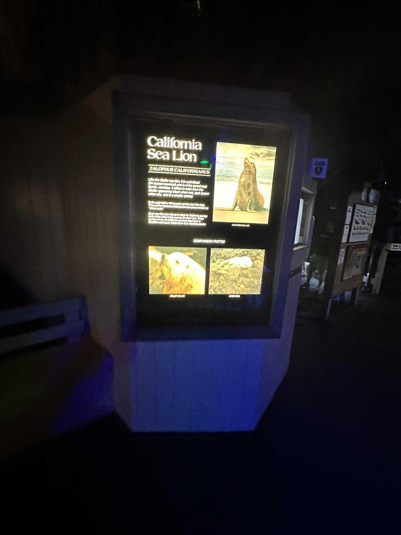 Aventure SXS off-road adventure