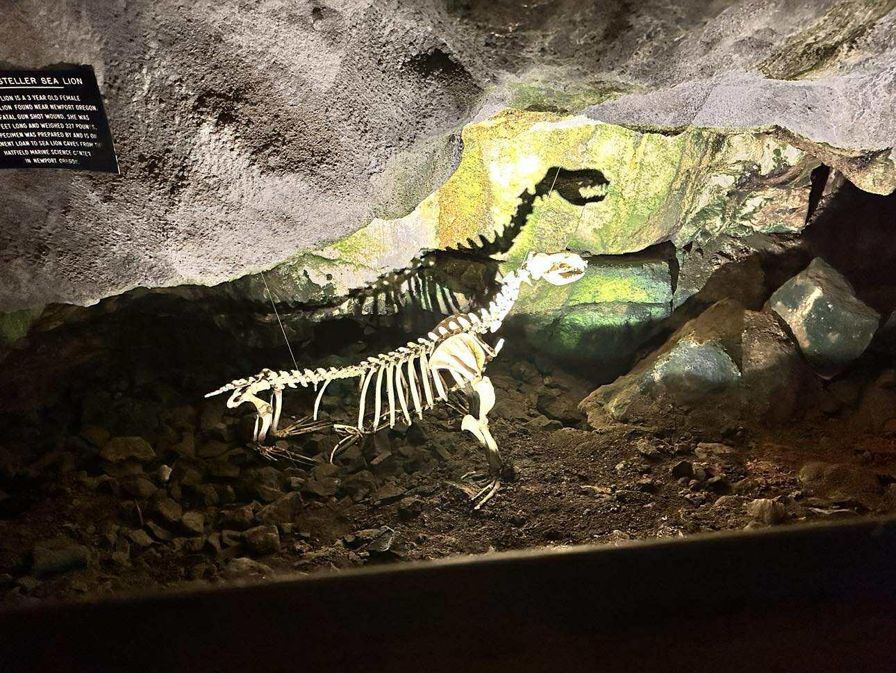 Aventure SXS off-road adventure